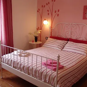 Myosotis Bed & Breakfast